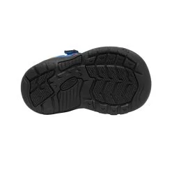Keen Toddlers' Newport H2SHO | Multi/Bright Cobalt -Step Style Shop 0f9ee6253f57862281132f6947140b18015f43b1