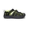 Keen Big Kids' Newport H2 | Black/Lime Green -Step Style Shop 117c289770a7cc98334aa0f677851e00b558958a