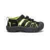 Keen Little Kids' Newport H2 | Black/Lime Green -Step Style Shop 25e211eb4f6b6b6eb15cdbfc57792e6475456844