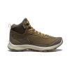 Keen Women's Terradora Explorer Waterproof Boot | Canteen/Curry