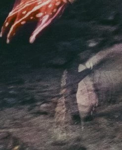 Keen Women's Jasper Rocks Sneaker X Hiking Patrol | Cuban Beige -Step Style Shop KEEN W 1028832 HikingPatrolxJasperRocks Lifestyle PDP Single Left