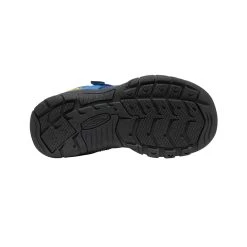 Keen Big Kids' Newport H2SHO | Multi/Bright Cobalt -Step Style Shop e51f2d059f48a26ac90f63edf0322a235d411557